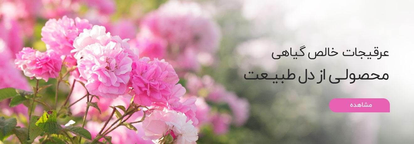 عرقیجات